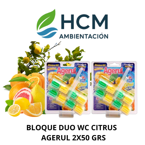 BLOQUE DUO WC BOUQUET CITRUS AGERUL 2X50 GRS