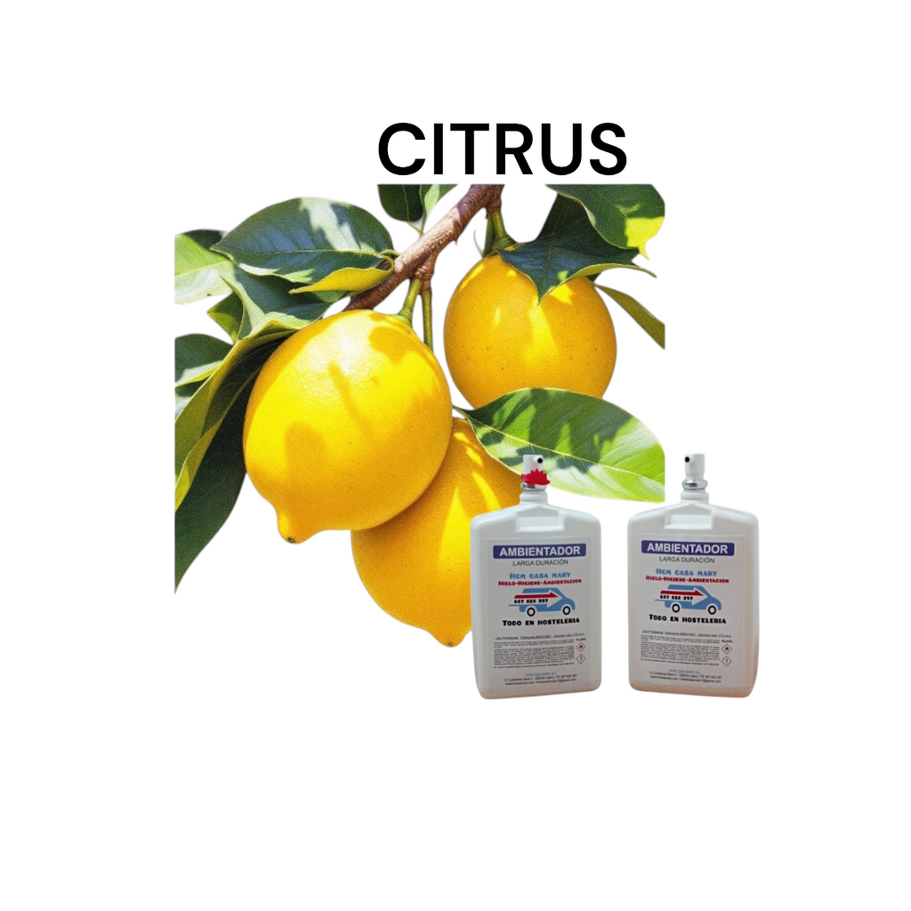 AMBIENTADOR HIDROALCHOL 710ML. CITRUS