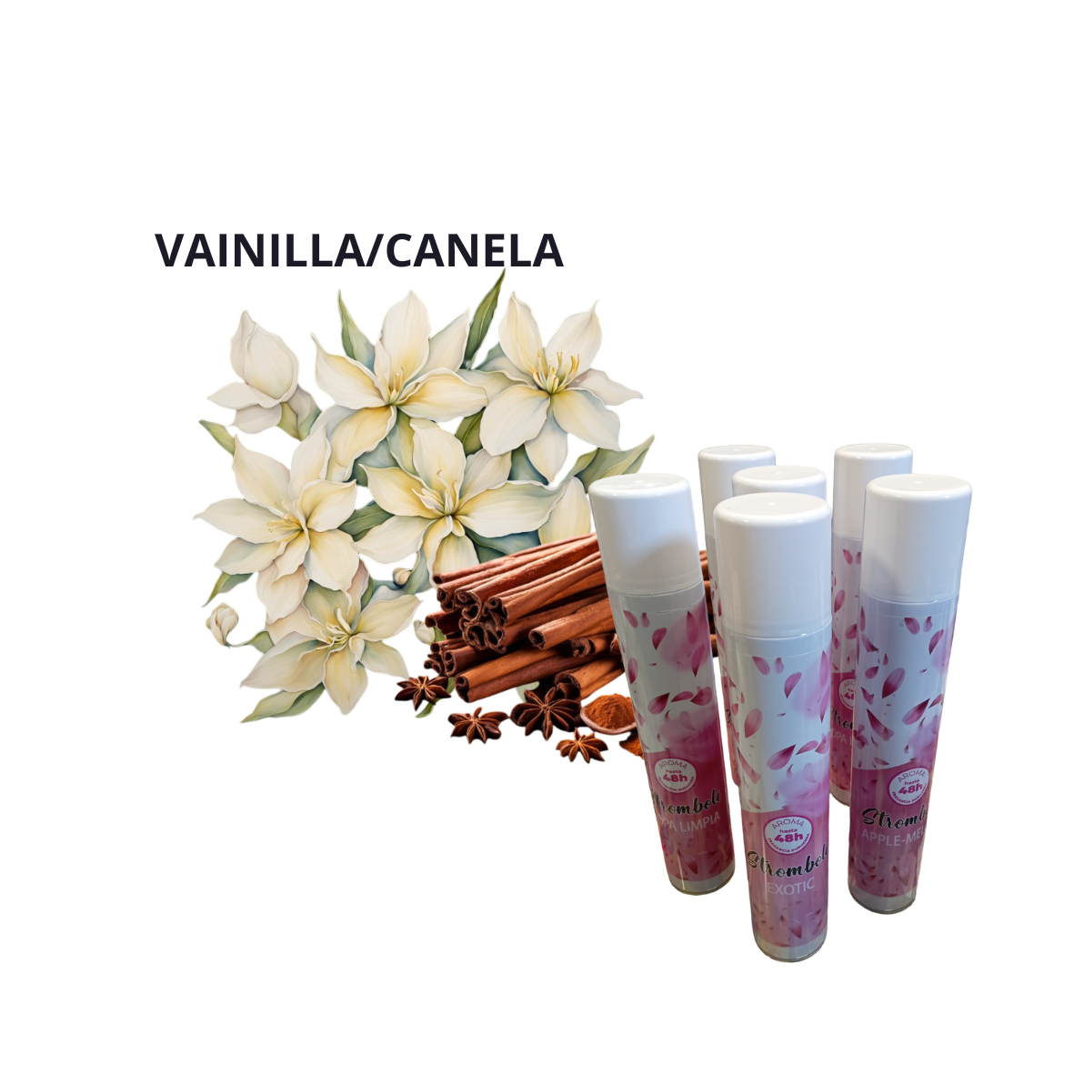 AEROSOL STROMBOLI 750 C.C VAINILLA/CANELA